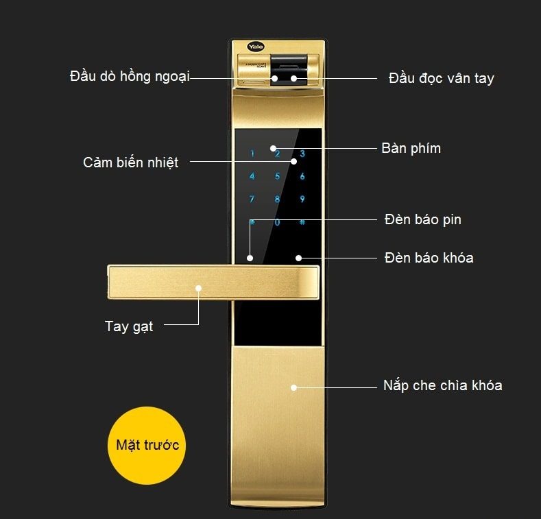 yale-4109-gold