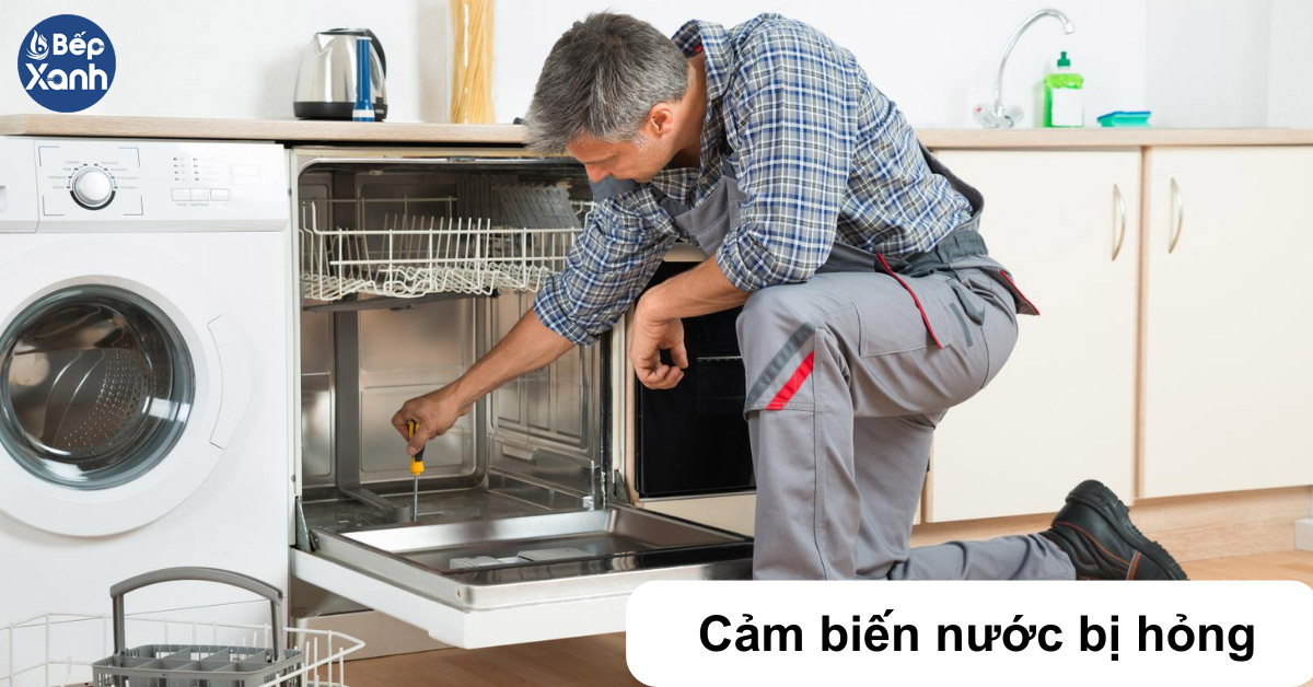 Máy rửa chén bị đọng nước do cảm biến nước bị hỏng