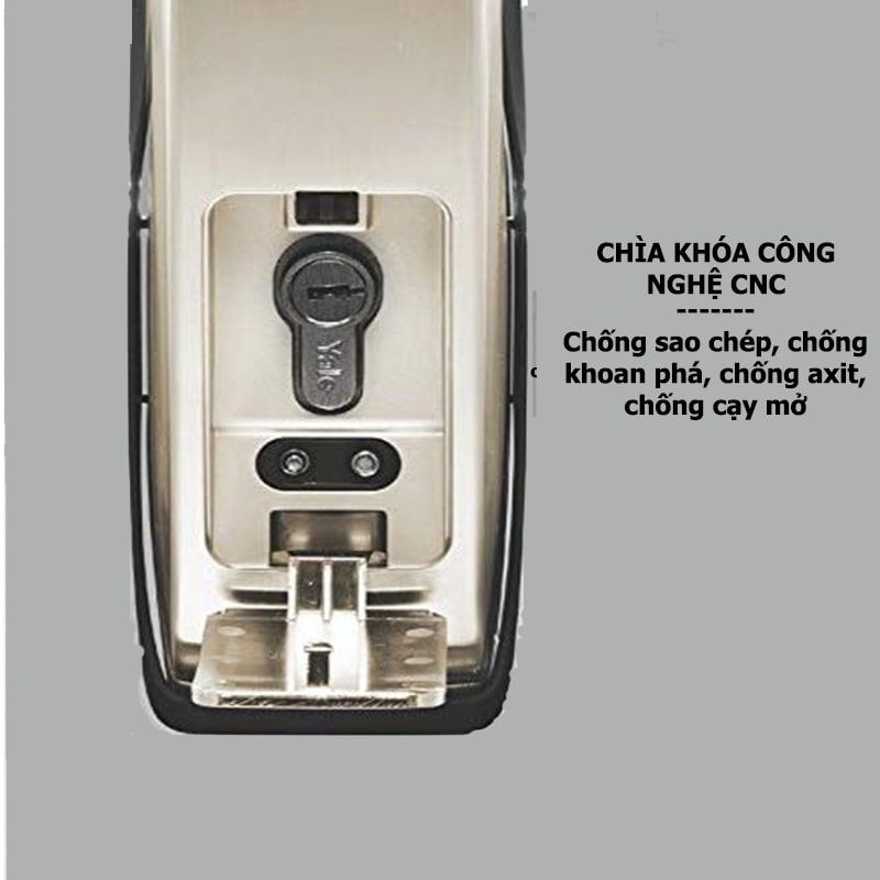 yale-40