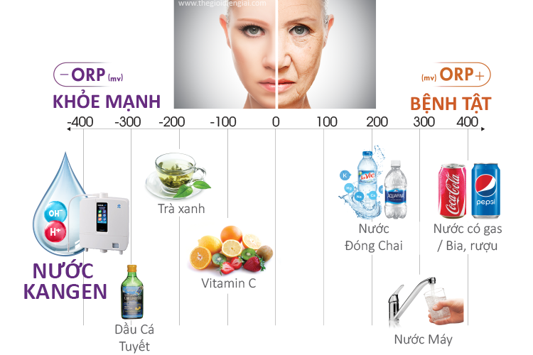 Bảng giá máy lọc nước điện giải ion kiềm Kangen Hình 9