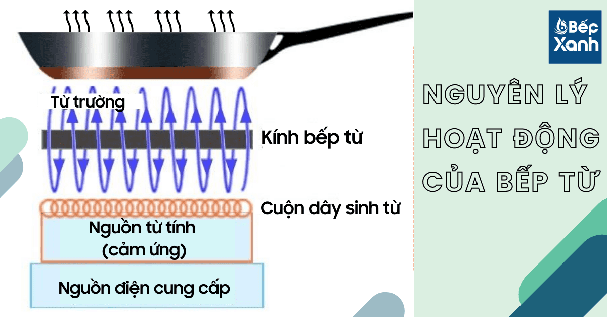 nguyên lý hoạt động của bếp điện từ