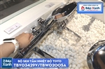 Bộ Sen Tắm Nhiệt Độ ToTo TBV03429V/TBW02005A