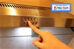 Máy hút mùi Cổ điển 70cm Malloca H365.7 (Màu Inox)