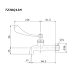 Vòi Nước Lạnh Gắn Tường TOTO T23BQ13N
