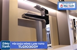 Vòi Chậu ToTo TLG10303V