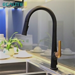 Vòi rửa chén nóng lạnh dây rút Pull-out Ecalite EF-K569BR