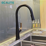 Vòi rửa chén nóng lạnh dây rút Pull-out Ecalite EF-K569BR