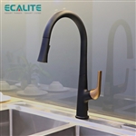 Vòi rửa chén nóng lạnh dây rút Pull-out Ecalite EF-K569BR