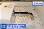 Vòi Tự Động ToTo DLE105AN/DLE124DH/DN010